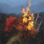 armance-de-la-morinerie-5241-4