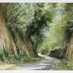 bernard-vollmy-6677-1