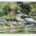 bernard-vollmy-6677-2