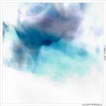 bertrand-chan-6416-2