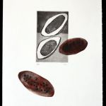 catherine-andre-7165-3