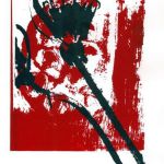 catherine-andre-7165-4