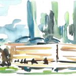 catherine-feintuch-6502-3