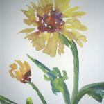 catherine-feintuch-6502-4