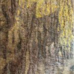 cecile-bourdais-4294-3
