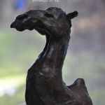 chris-telque-4355-1