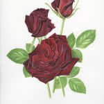 colette-thurillet-253-2