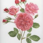 colette-thurillet-253-3