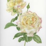 colette-thurillet-253-4