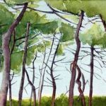 denis-pierre-bellocq-5763-1