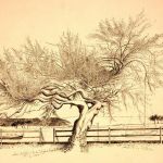 denis-pierre-bellocq-5763-2