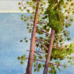 denis-pierre-bellocq-5763-4