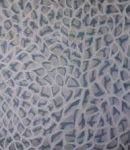 dominique-janiere-6588-3