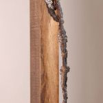 francois-mayu-4633-2