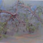 genevieve-mazoyer-2876-1