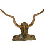 joy-jaroba-lemus-5733-2