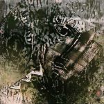 juliana-ebbing-chakravorty-3161-1