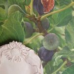 juliet-schlunke-3208-1