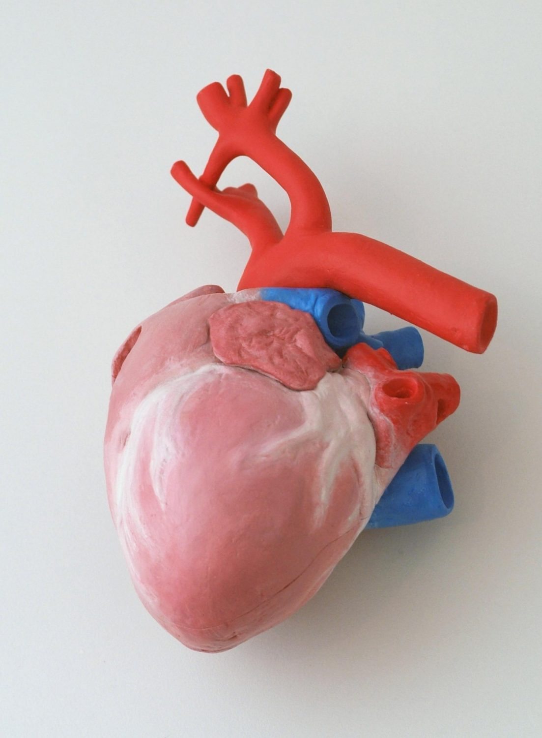 laurent-mallamaci-3365-3