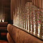 patricia-zurini-4254-2