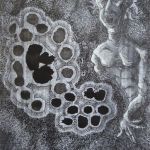 stephane-ruault-3112-3