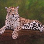 sylvie-ajacques-4246-1