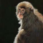 sylvie-ajacques-4246-3