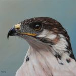 sylvie-ajacques-4246-4