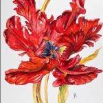 sylvie-colomb-4663-1