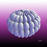thierry-chasselat-7309-3