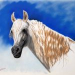 thierry-jean-robert-saint-germes-3834-4