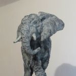 veronique-carmen-laffaille-7490-1