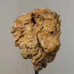 veronique-carmen-laffaille-7490-3