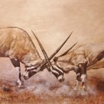 wei-mazzolini-7016-1