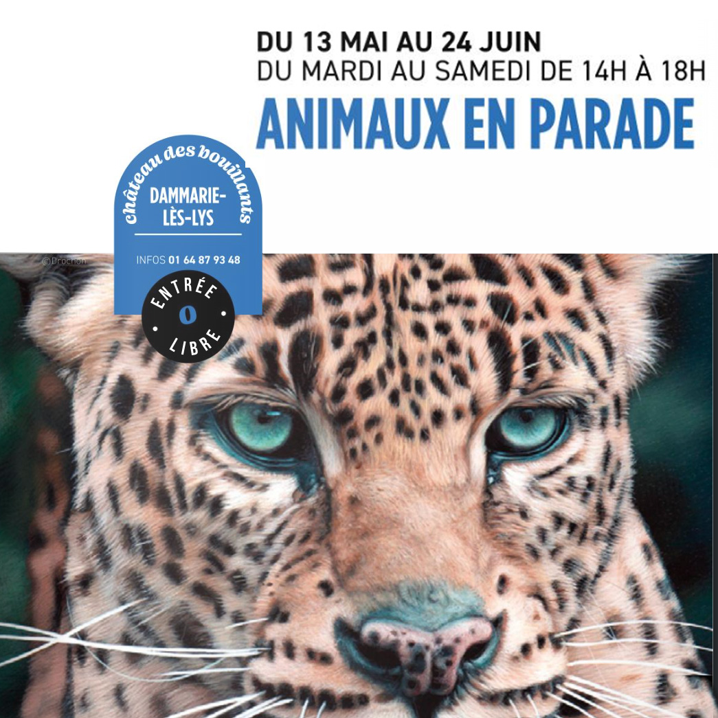 Art animalier