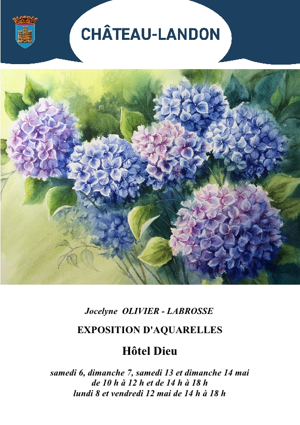 Exposition d'aquarelles Hôtel Dieu