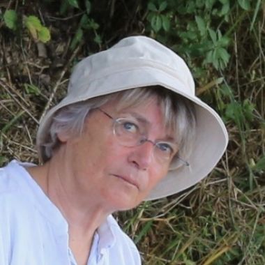 Illustration du profil de Dominique LE MOUEL