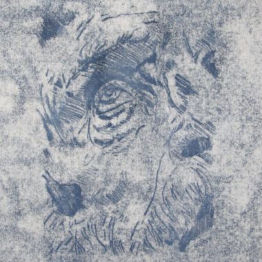 Illustration du profil de de Witte Elise