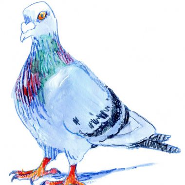 Illustration du profil de LUTES