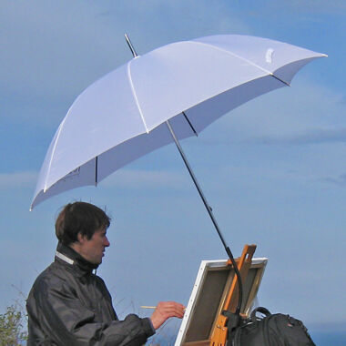 Illustration du profil de Pascal Durand