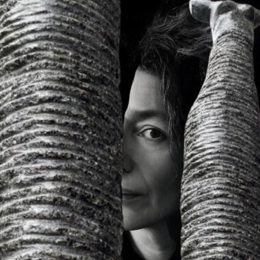 Illustration du profil de jarrige