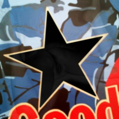 Illustration du profil de MIL