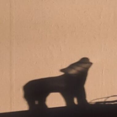 Illustration du profil de Céline Bahlinger Windsdaughter