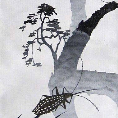 Illustration du profil de Claire Luxey
