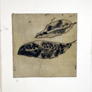 Illustration du profil de Alaleh Alamir