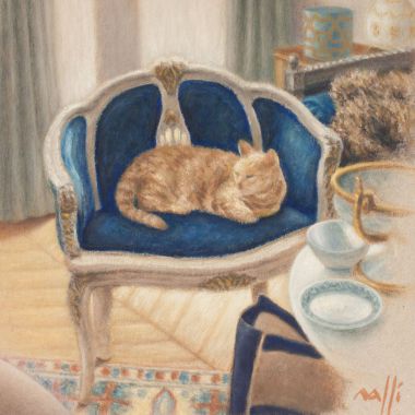 Illustration du profil de Maxence RAFFI