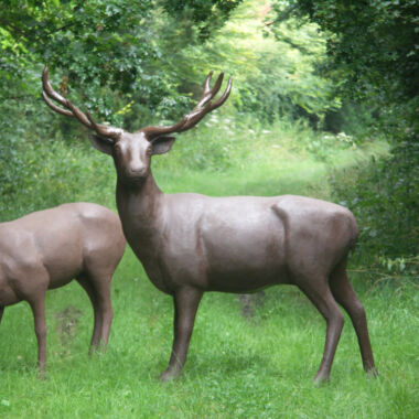 Illustration du profil de Binome