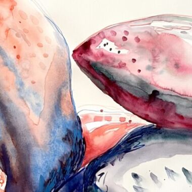 Illustration du profil de EDYTA LOPATECKI