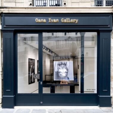 Illustration du profil de Oana Ivan Gallery