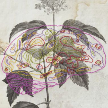 Illustration du profil de SYLVIE HENOT